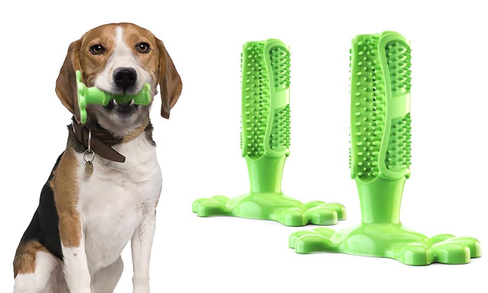 Dog Toothbrush Toy